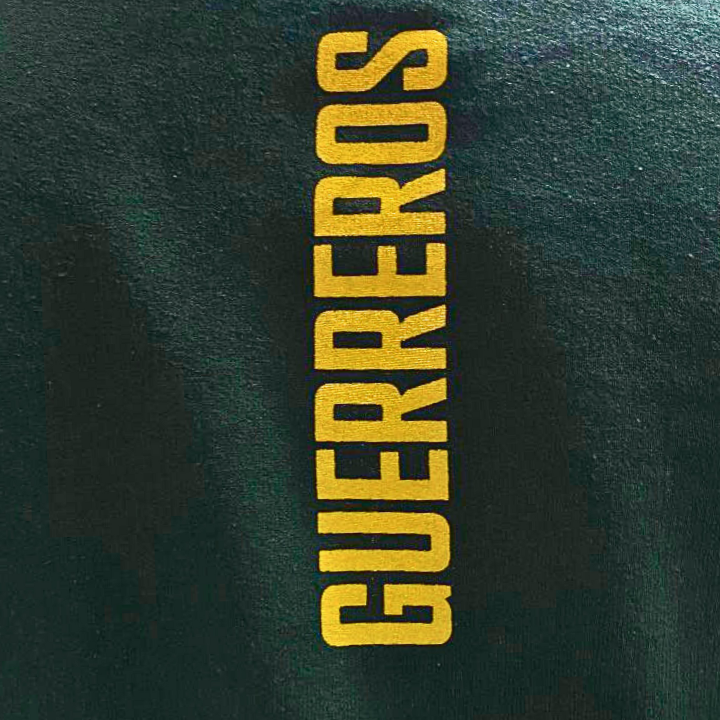 HOODIE CLUB SANTOS LAGUNA ESCUDO Y S GREEN