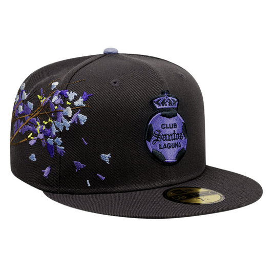 5950 LMX JACARANDA LAGSAN