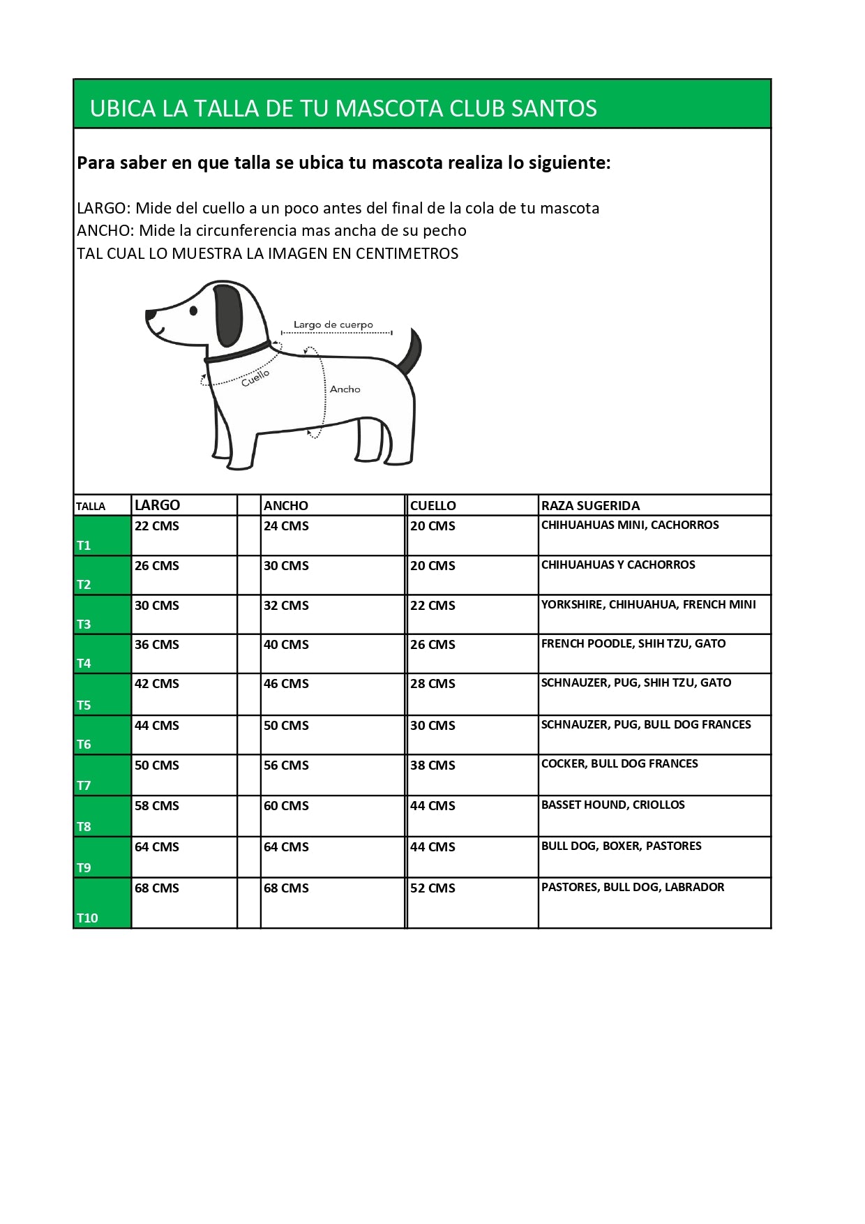 JERSEY PARA MASCOTA CSL 25/26