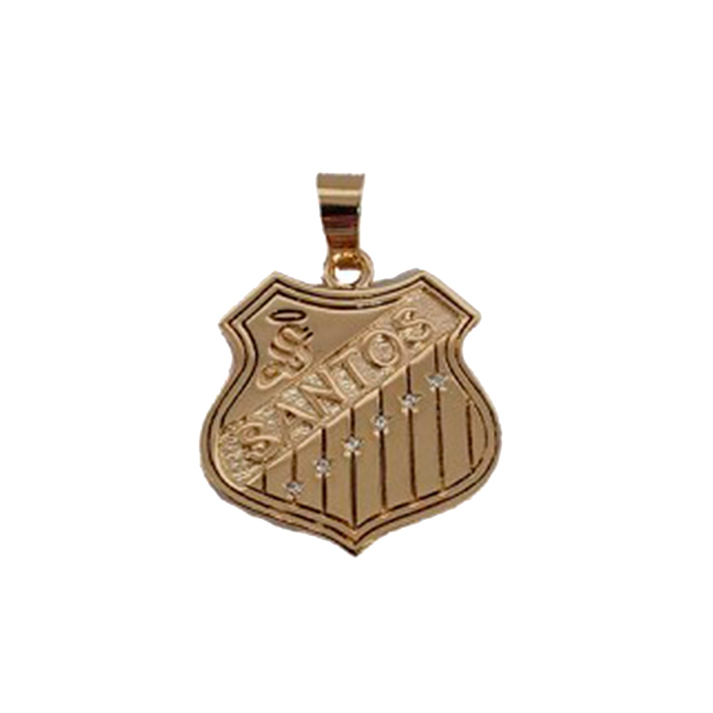 CADENA Y DIJE ESCUDO RETRO