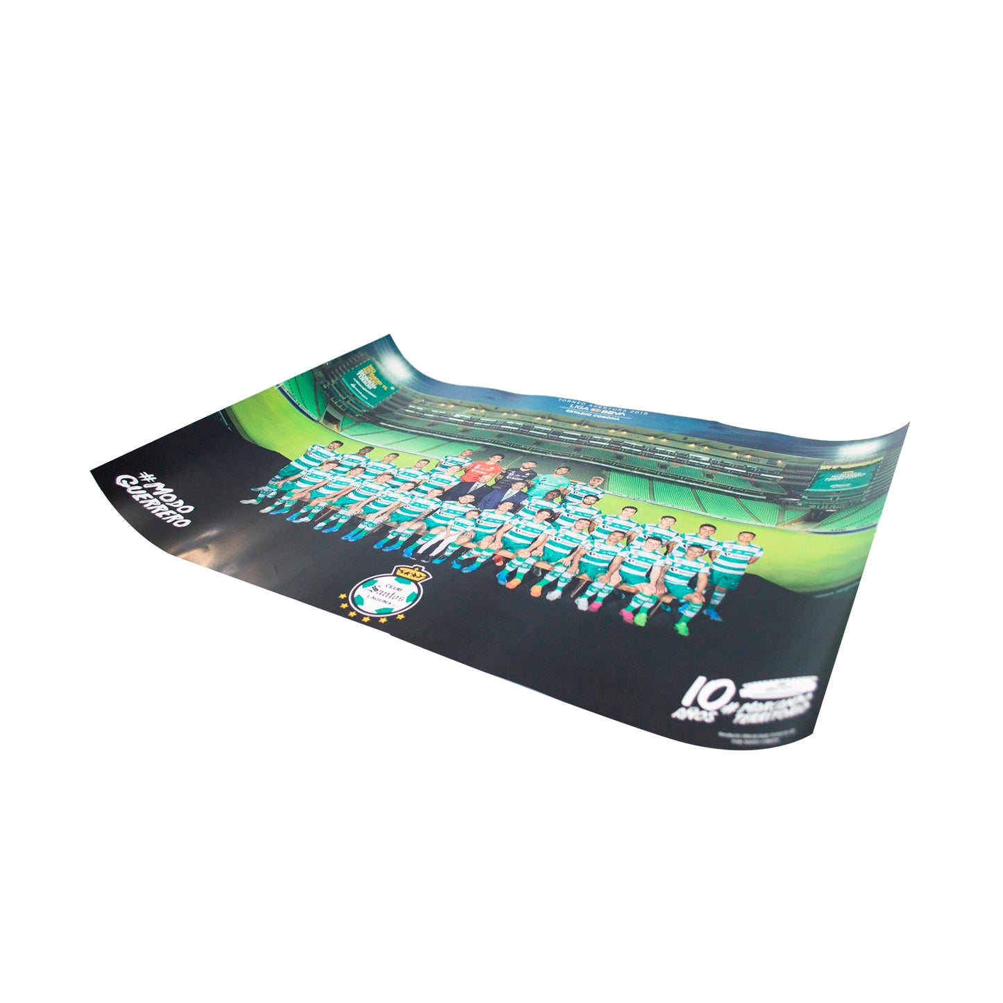 <transcy>OFFICIAL PHOTOGRAPH 2019</transcy>