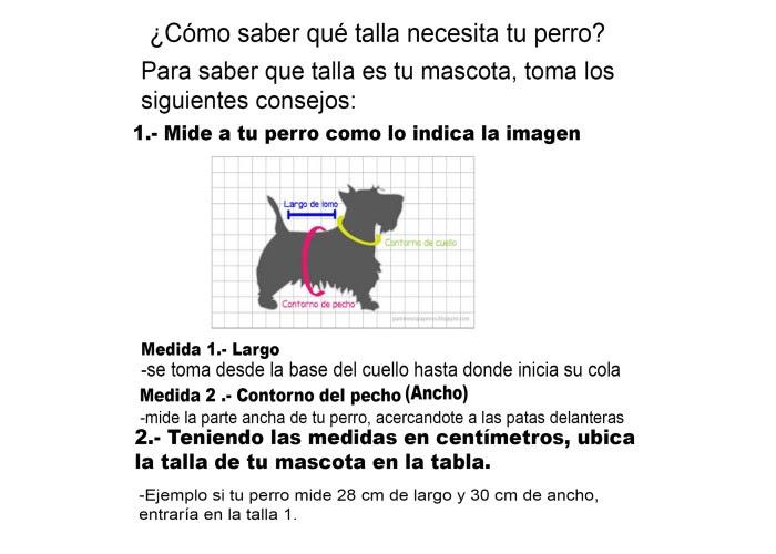<transcy>PET COLLAR</transcy>