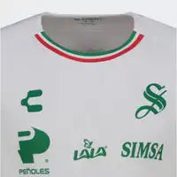 JERSEY MANGA LARGA CABALLERO ALTERNO 25/26