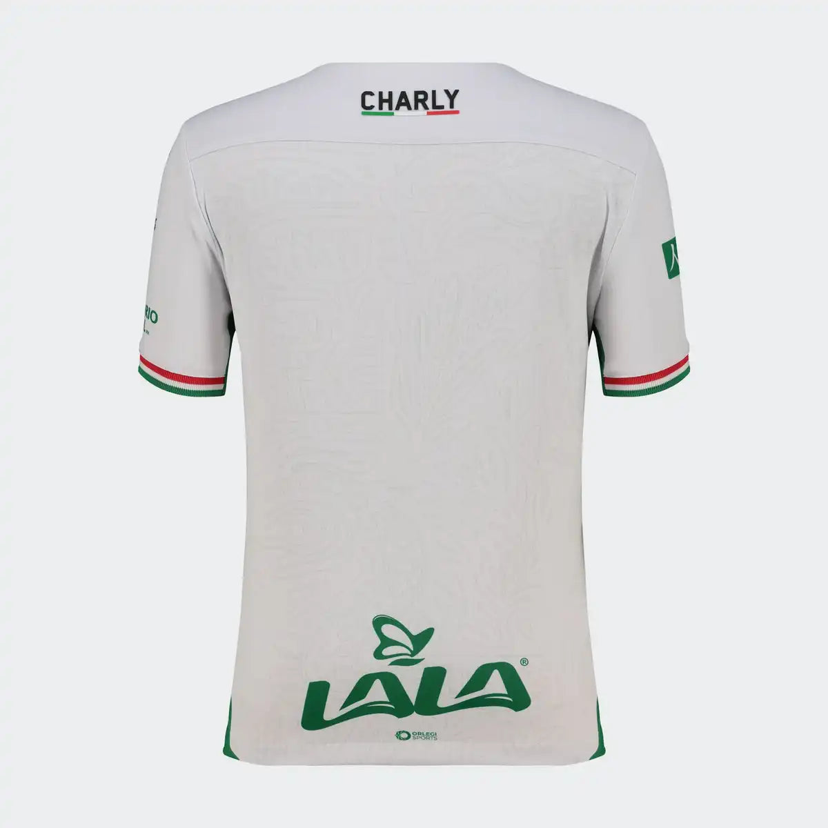 JERSEY MANGA CORTA INFANTIL ALTERNA 25/26