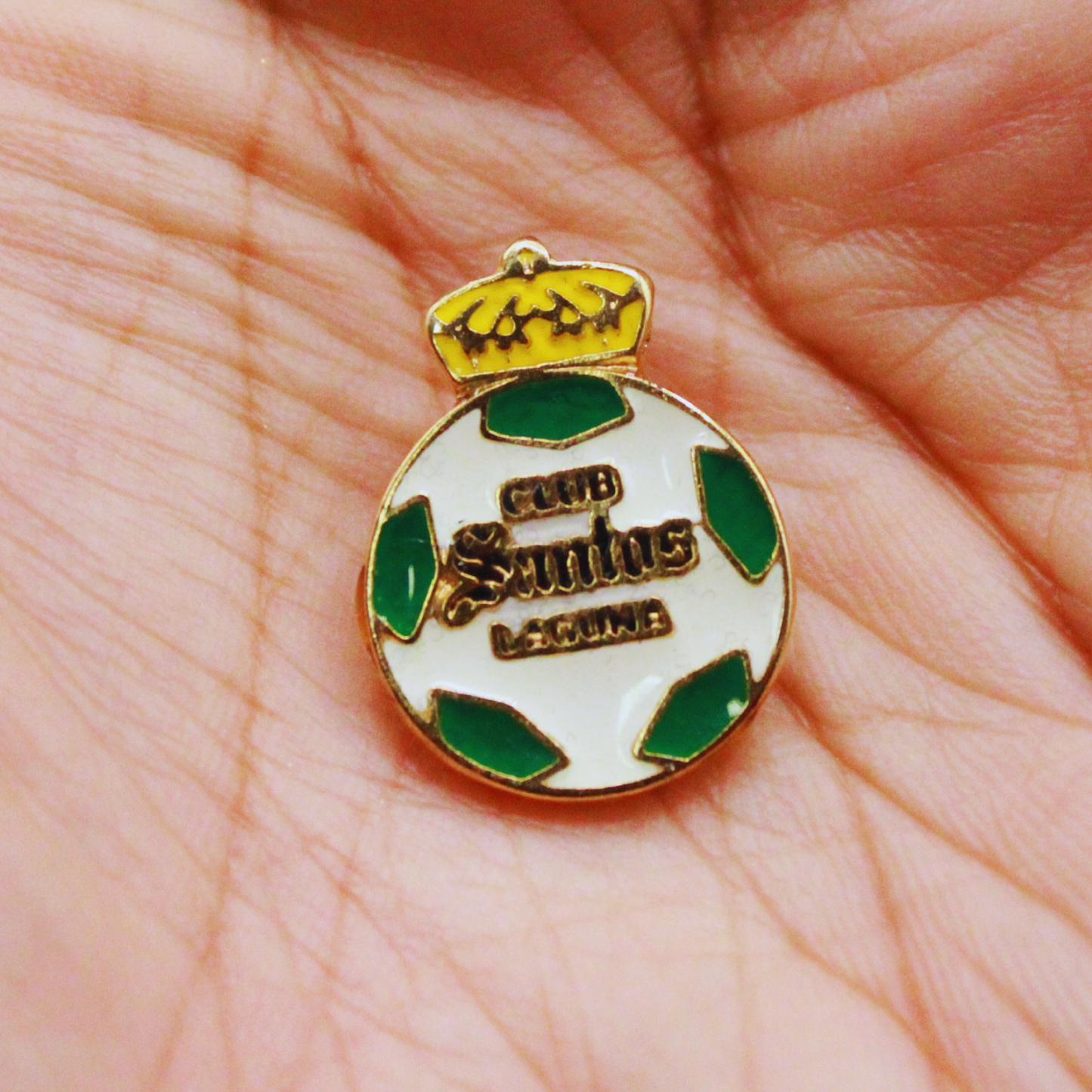 PIN SANTOS