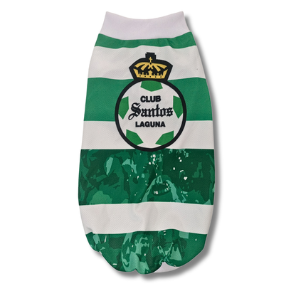 JERSEY PARA MASCOTA CSL 25/26