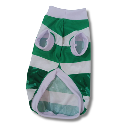 JERSEY PARA MASCOTA CSL 25/26