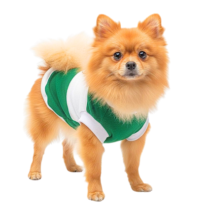 SUETER FELPA ESCUDO CLUB SANTOS LAGUNA