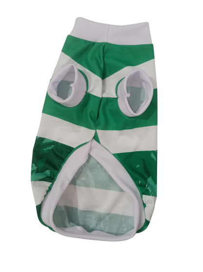 JERSEY PARA MASCOTA CSL 25/26