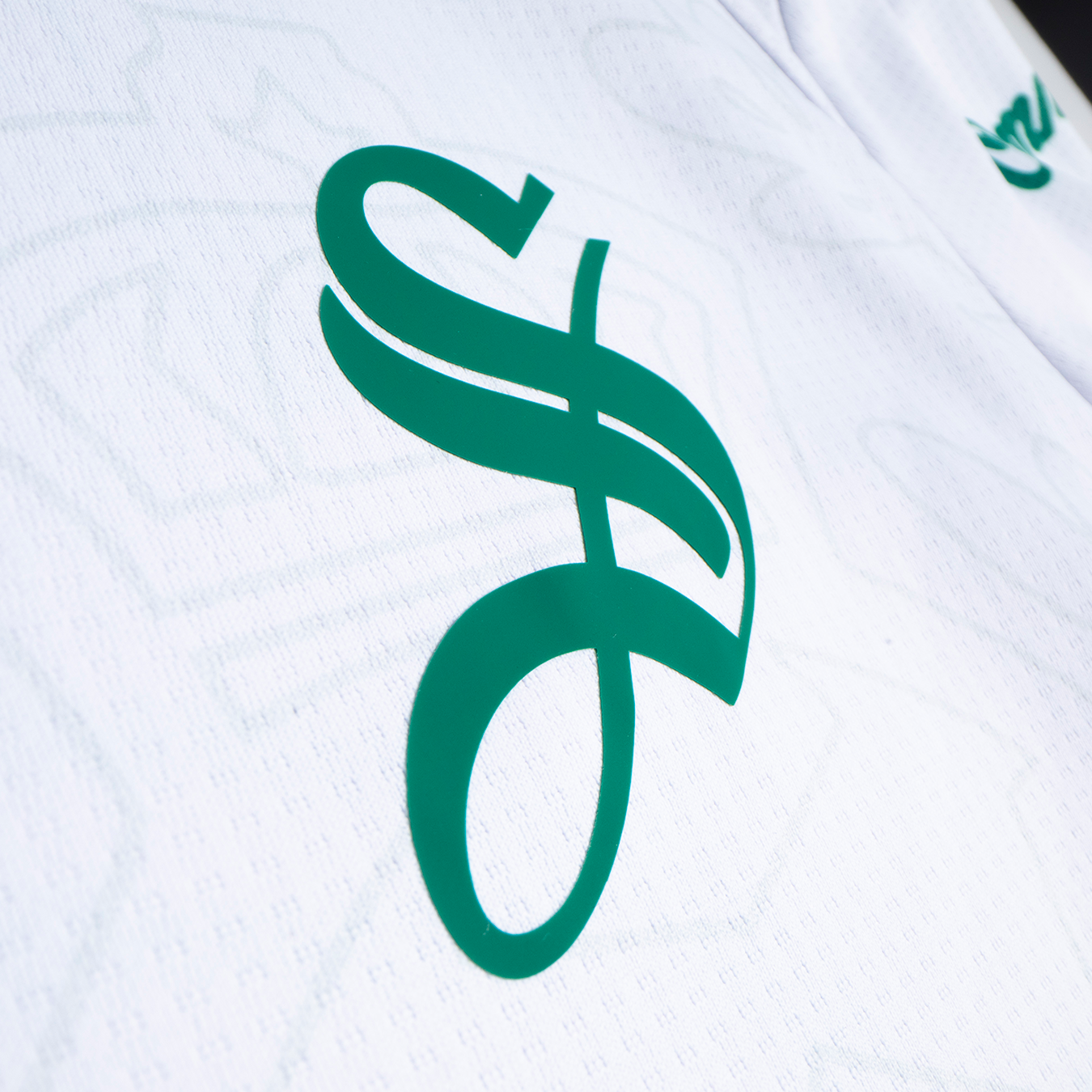 JERSEY MANGA CORTA CABALLERO ALTERNO 25/26