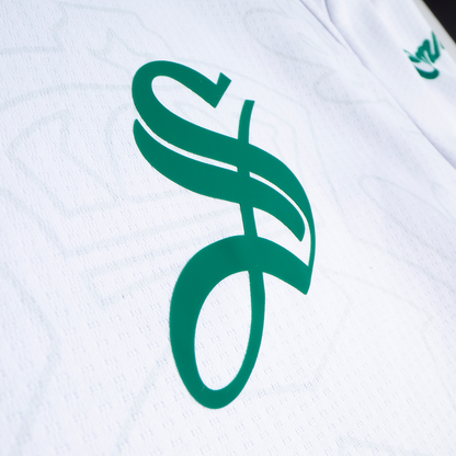 JERSEY MANGA CORTA CABALLERO ALTERNO 25/26