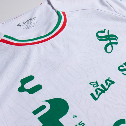 JERSEY MANGA CORTA CABALLERO ALTERNO 25/26