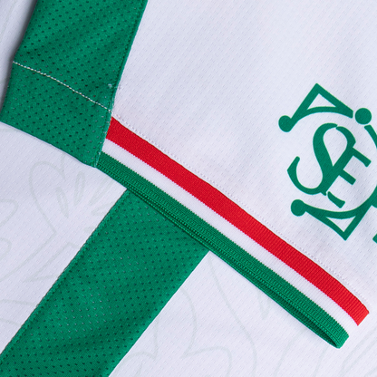 JERSEY MANGA CORTA CABALLERO ALTERNO 25/26