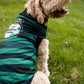 JERSEY PARA MASCOTA TEMPORADA 22/23