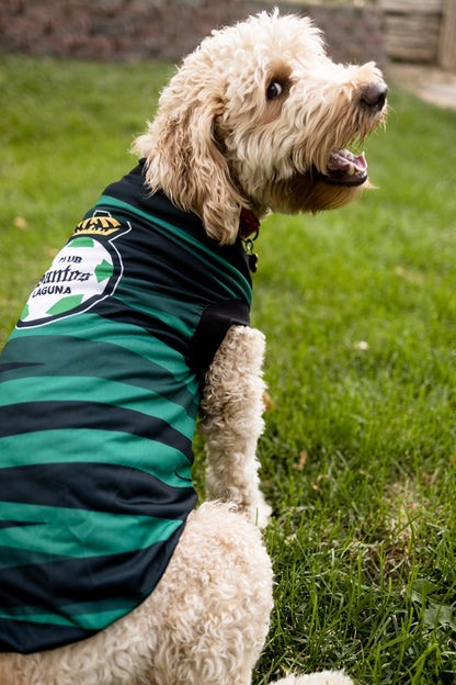 JERSEY PARA MASCOTA TEMPORADA 22/23