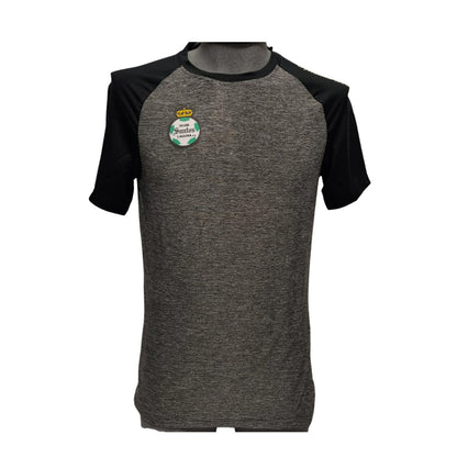 CAMISETA SANTOS EN COLOR, GRIS/NEGRO