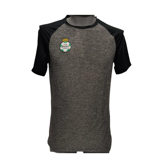 CAMISETA SANTOS EN COLOR, GRIS/NEGRO