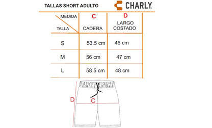 KIT OFICIAL DE ACADEMIAS DE FUTBOL SANTOS PARA ADULTO VISITA